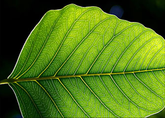 革命性突破且具有创新意义的手机号压测试